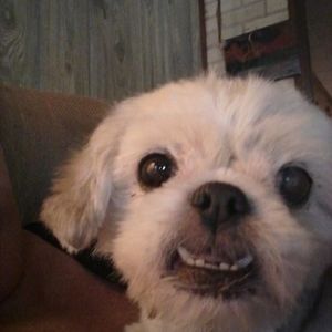 Meet your Posher, Carolyn